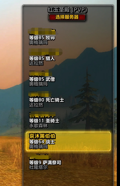 牧师、猎人、武僧三个85级、DK80级SP...