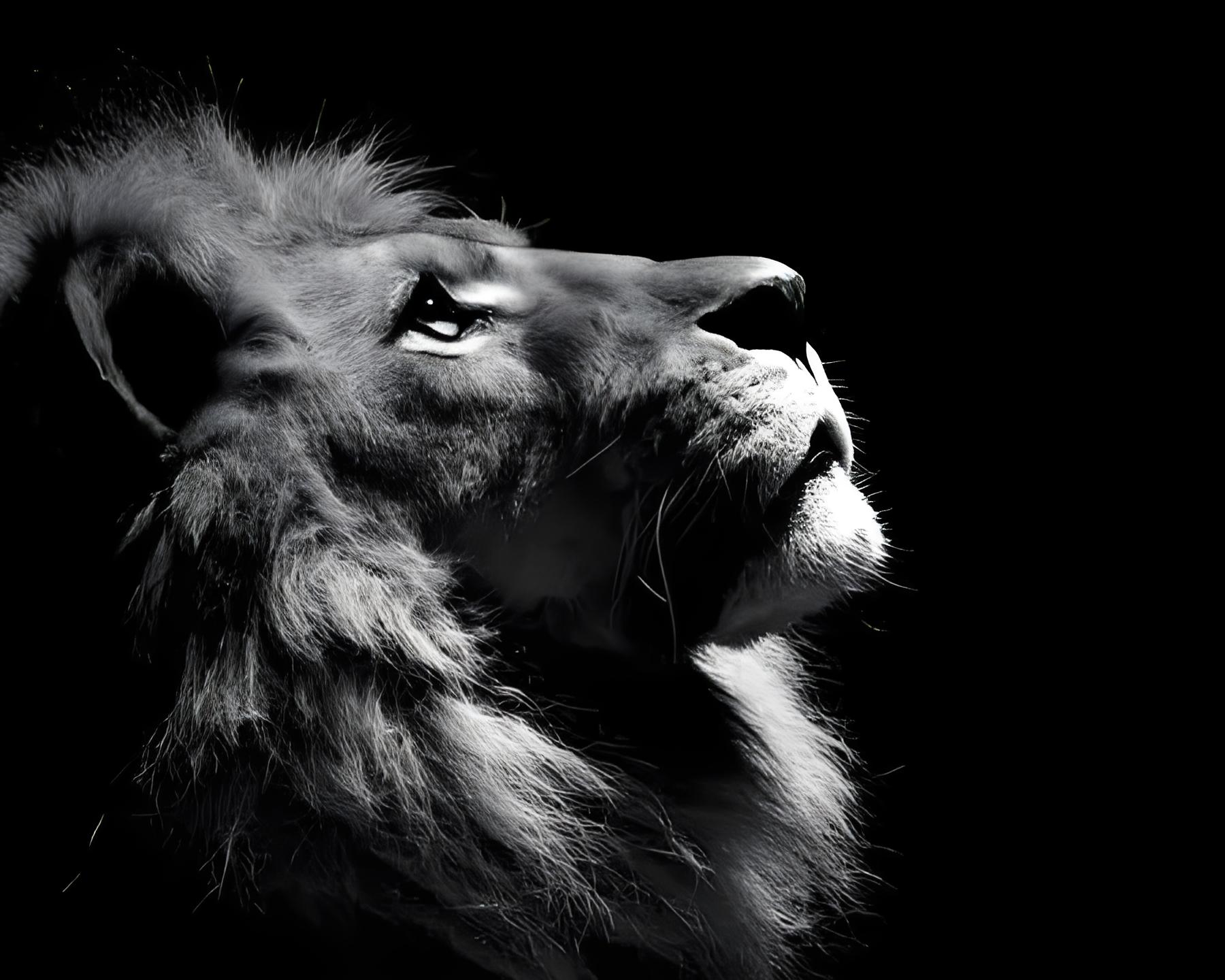 双修dk qs 外加橙锤奶萨 橙锤奶德 橙...